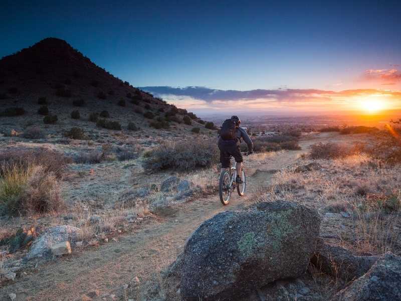 What Makes a Mountain Bike Unique