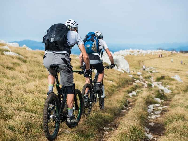 mountain bike cheaper than road bikes