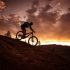 When Buying A Mountain Bike, What Should I Look For?