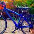 Why Does Mountain Biking Harm Your Back?