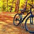 How Much Does a Mountain Bike Cost on Average?