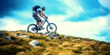 How Much Does a Mountain Bike Cost on Average?