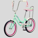 Schwinn Hazel Kids Bike, 20-Inch Wheels Review