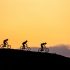 When Riding on Pavement, How Long Will My Mountain Bike Tires Last?