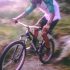 Mountain Bike VS Road Bike – Which Is Better For Weight Loss?